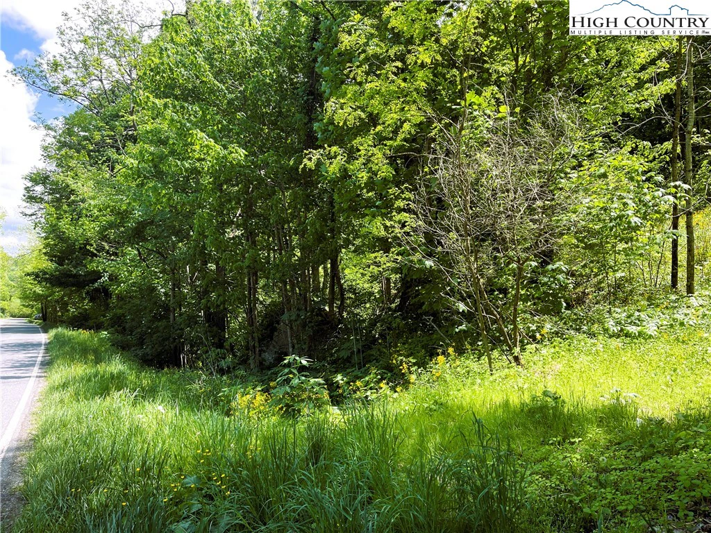 Image number 3 for the current listing