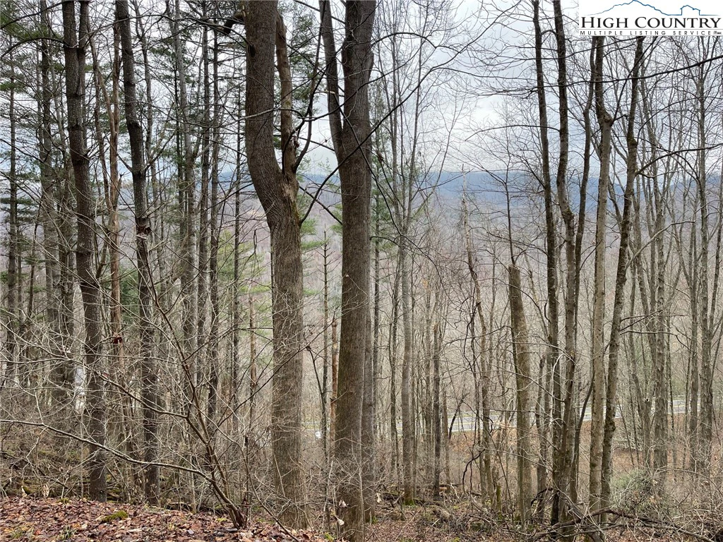 Image number 7 for the current listing