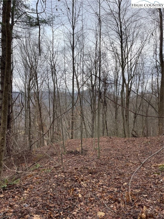 Image number 11 for the current listing
