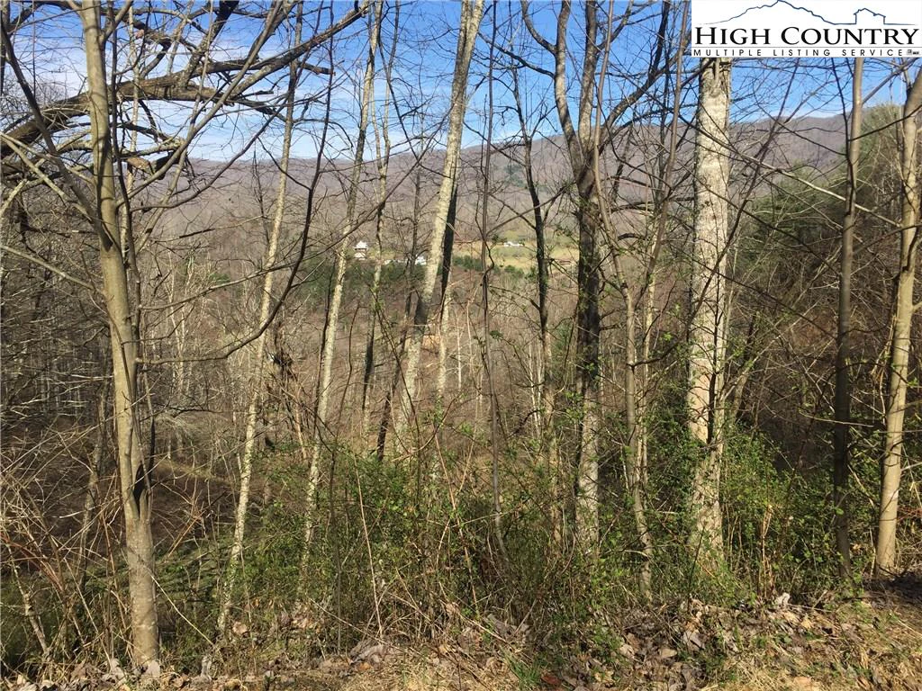 Image number 11 for the current listing