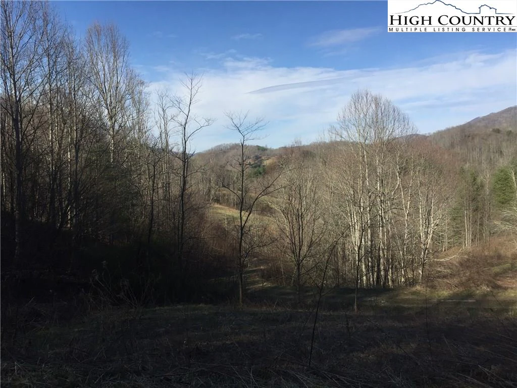 Image number 12 for the current listing