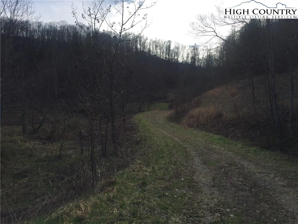 Image number 4 for the current listing