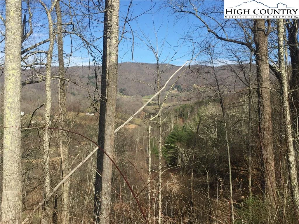 Image number 6 for the current listing