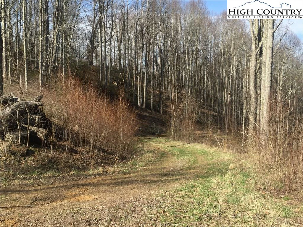 Image number 7 for the current listing