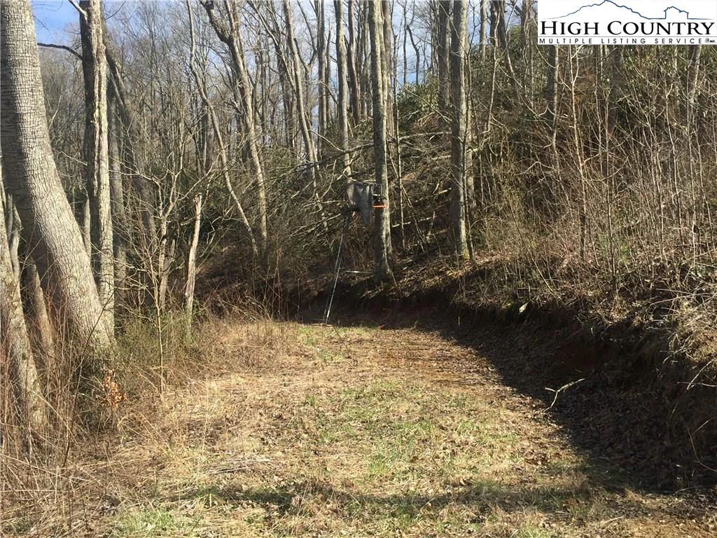 Image number 9 for the current listing