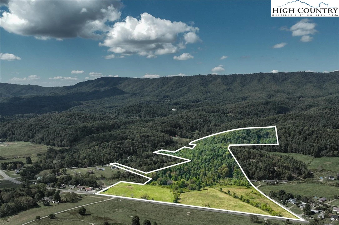 Image number 1 for the current listing