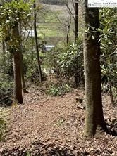 Image number 7 for the current listing