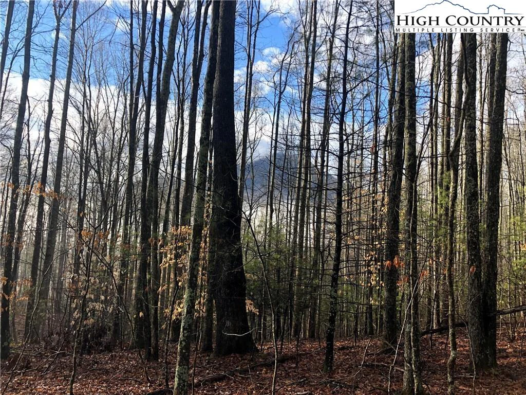 Image number 1 for the current listing