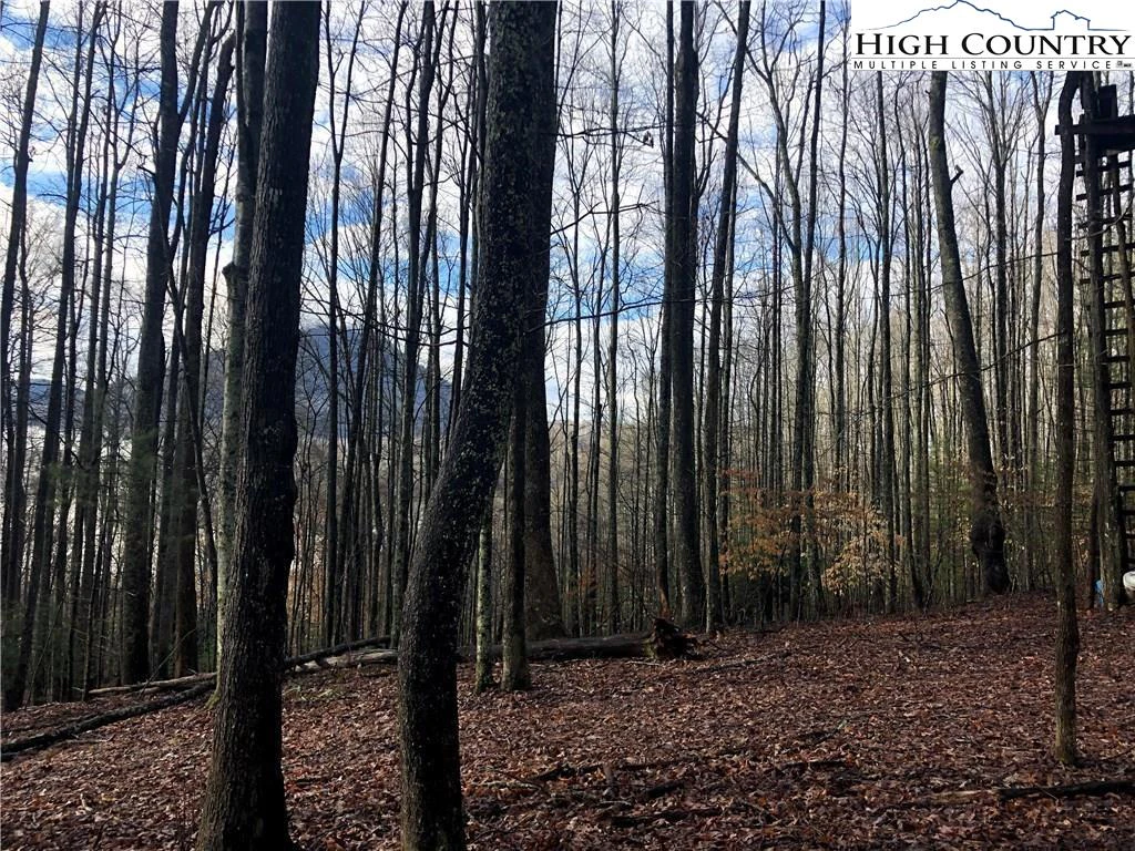 Image number 7 for the current listing