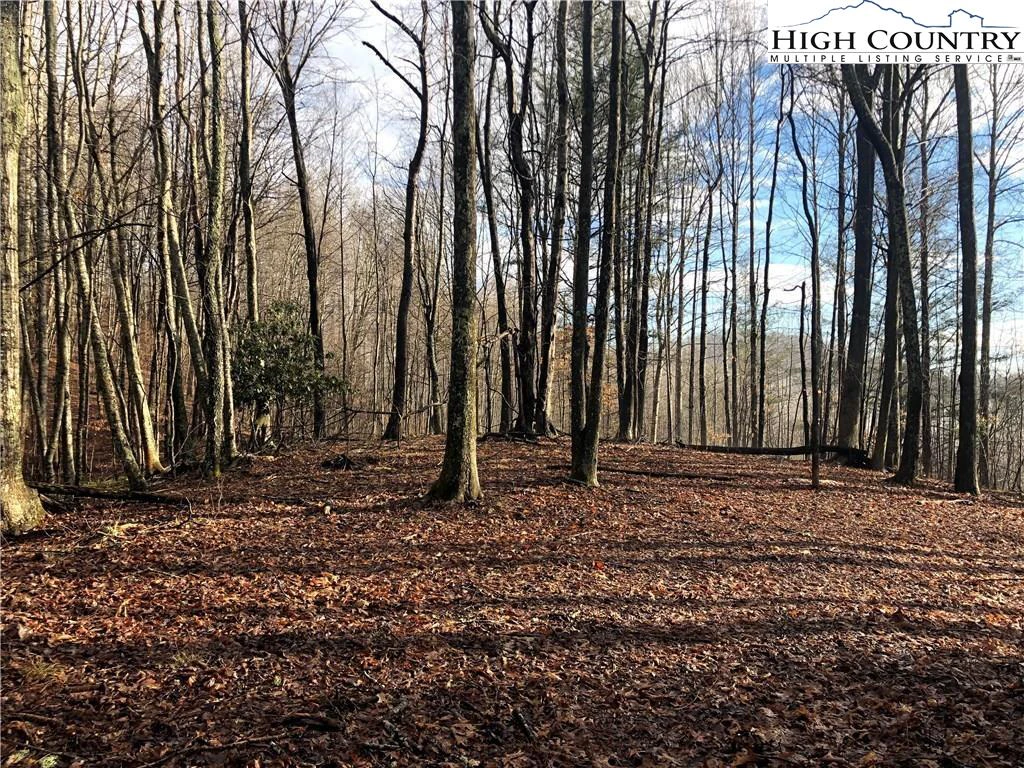 Image number 3 for the current listing
