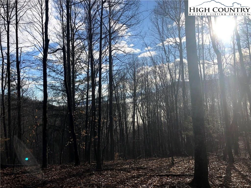 Image number 12 for the current listing