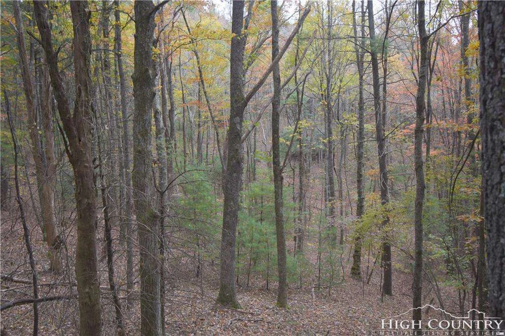 Image number 2 for the current listing