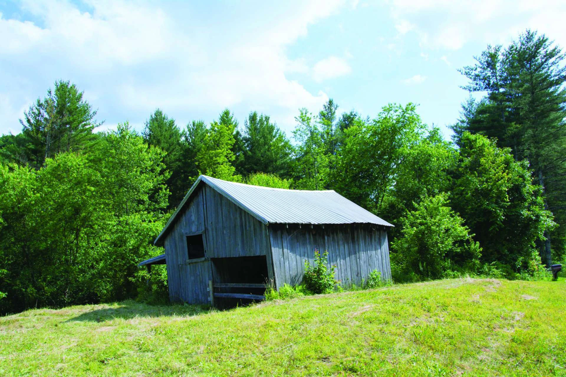 Image number 2 for the current listing