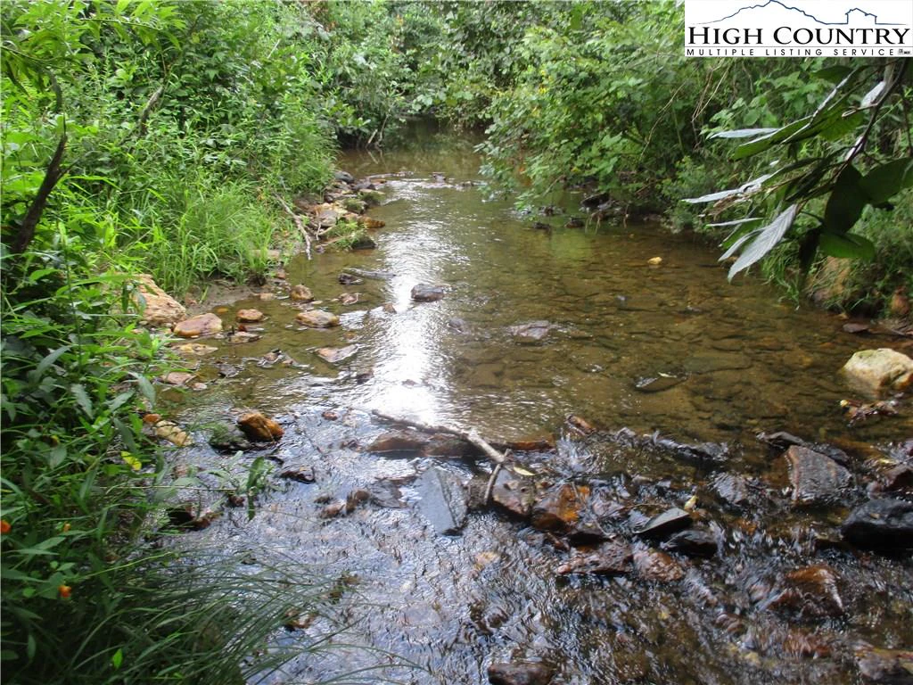 Image number 3 for the current listing