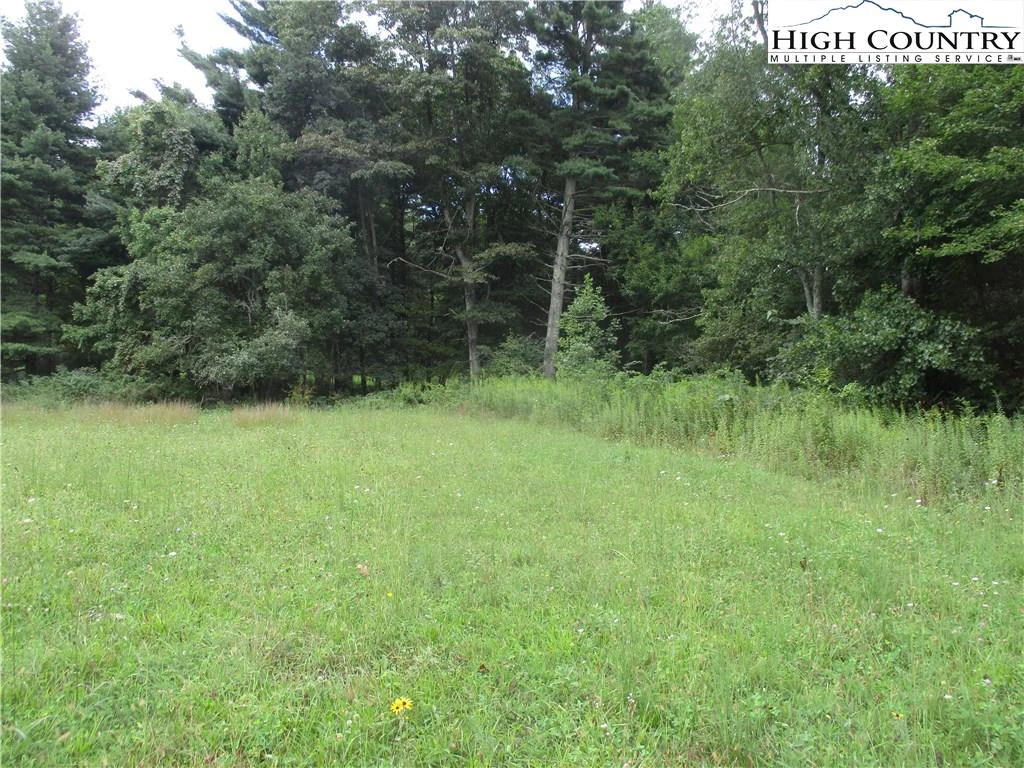 Image number 6 for the current listing