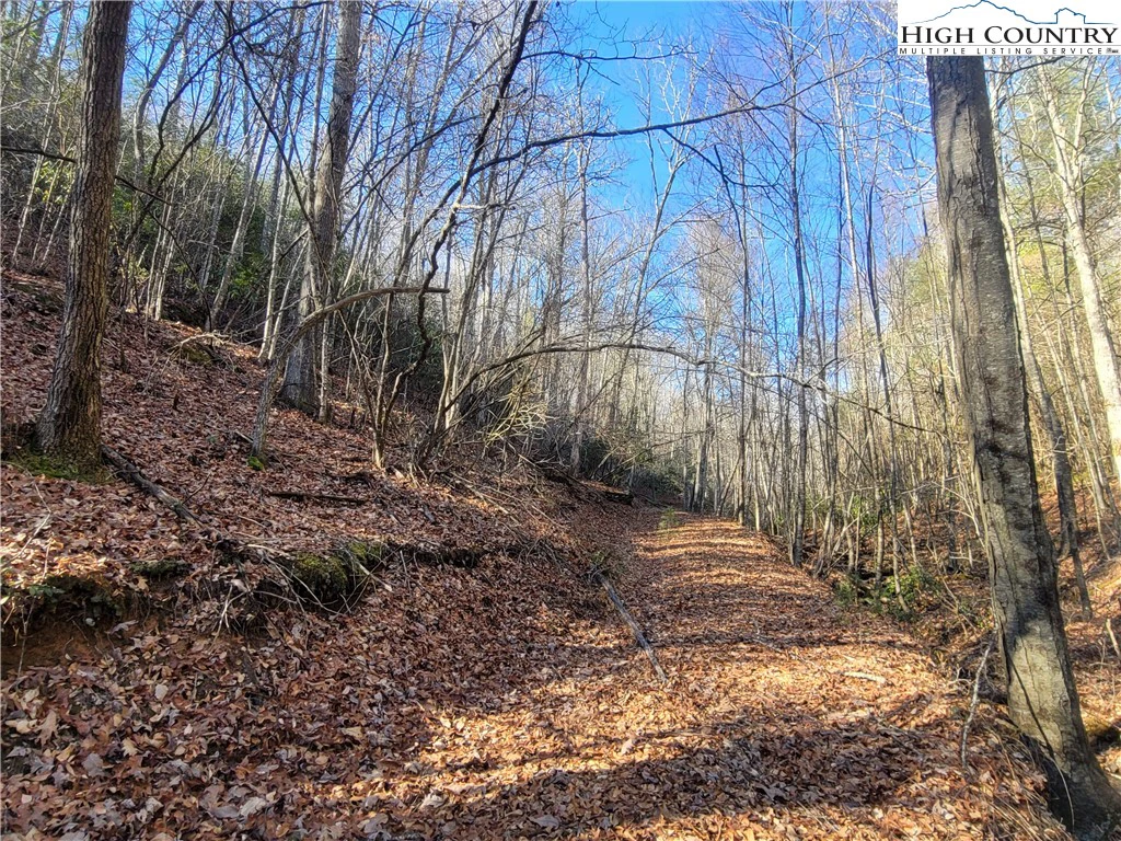 Image number 15 for the current listing