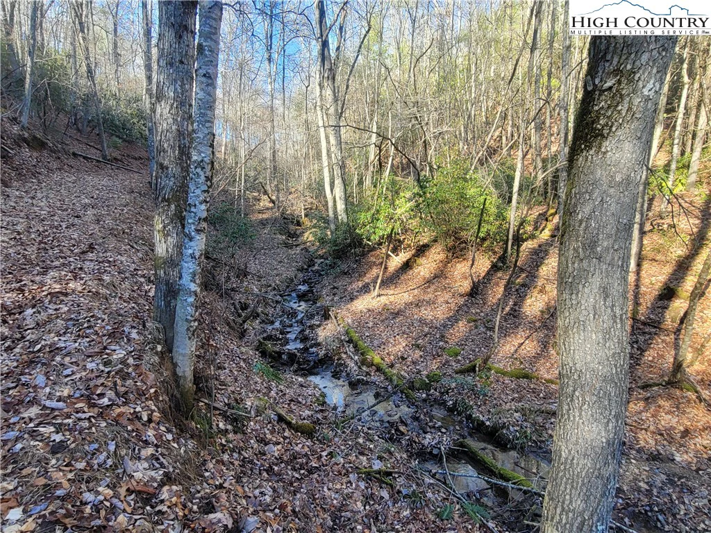 Image number 14 for the current listing