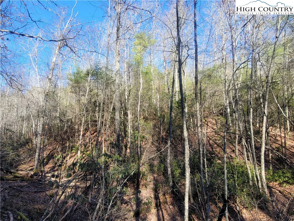 Image number 13 for the current listing