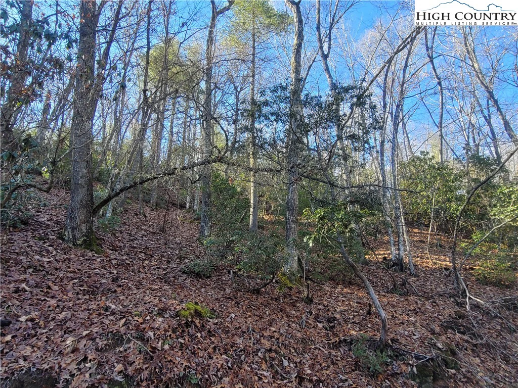 Image number 12 for the current listing