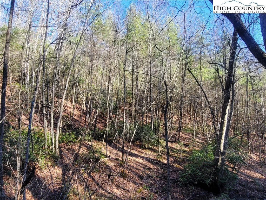 Image number 9 for the current listing