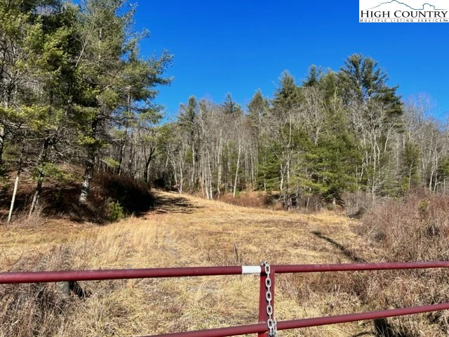 Image number 4 for the current listing