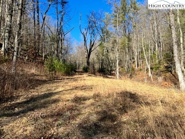 Image number 3 for the current listing