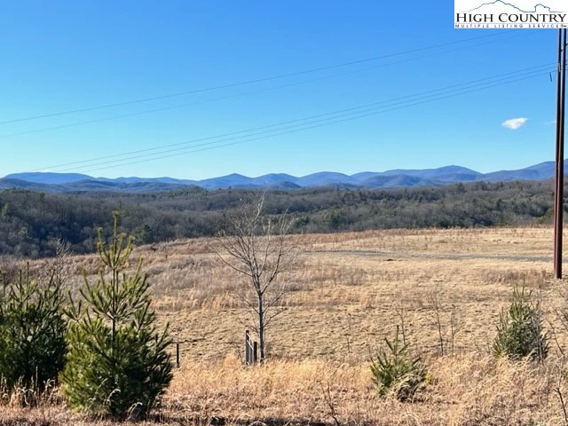 Image number 1 for the current listing