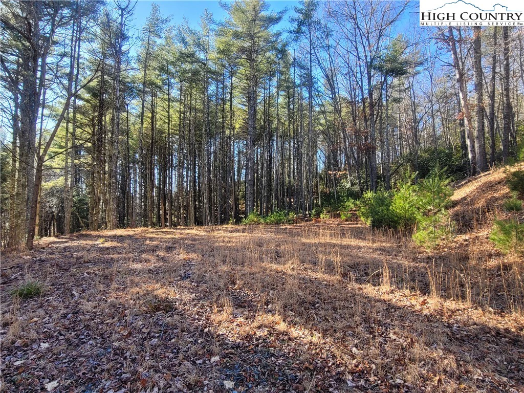 Image number 20 for the current listing
