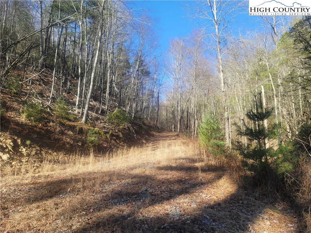 Image number 18 for the current listing