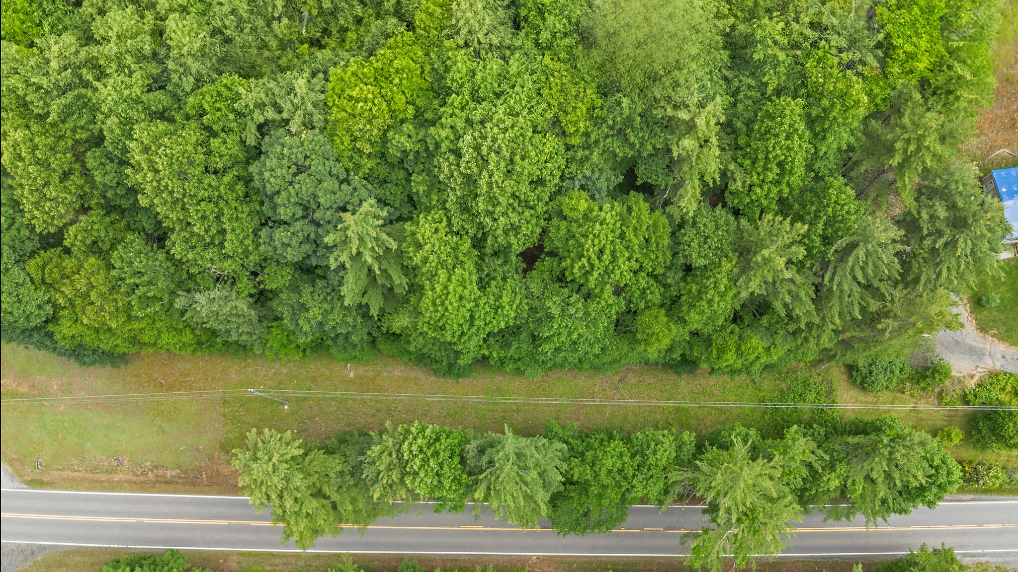 Image number 11 for the current listing