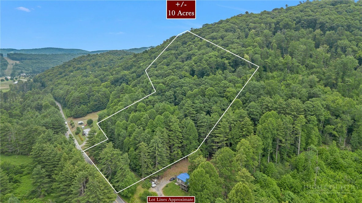 Image number 2 for the current listing