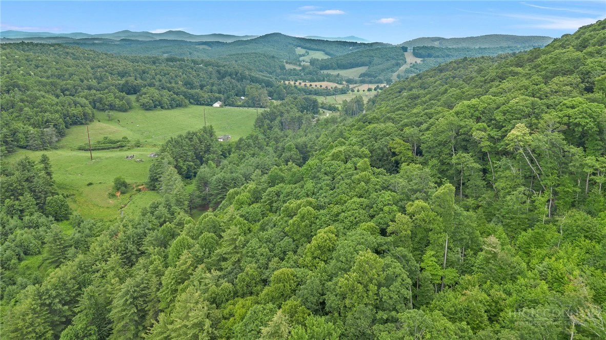 Image number 9 for the current listing
