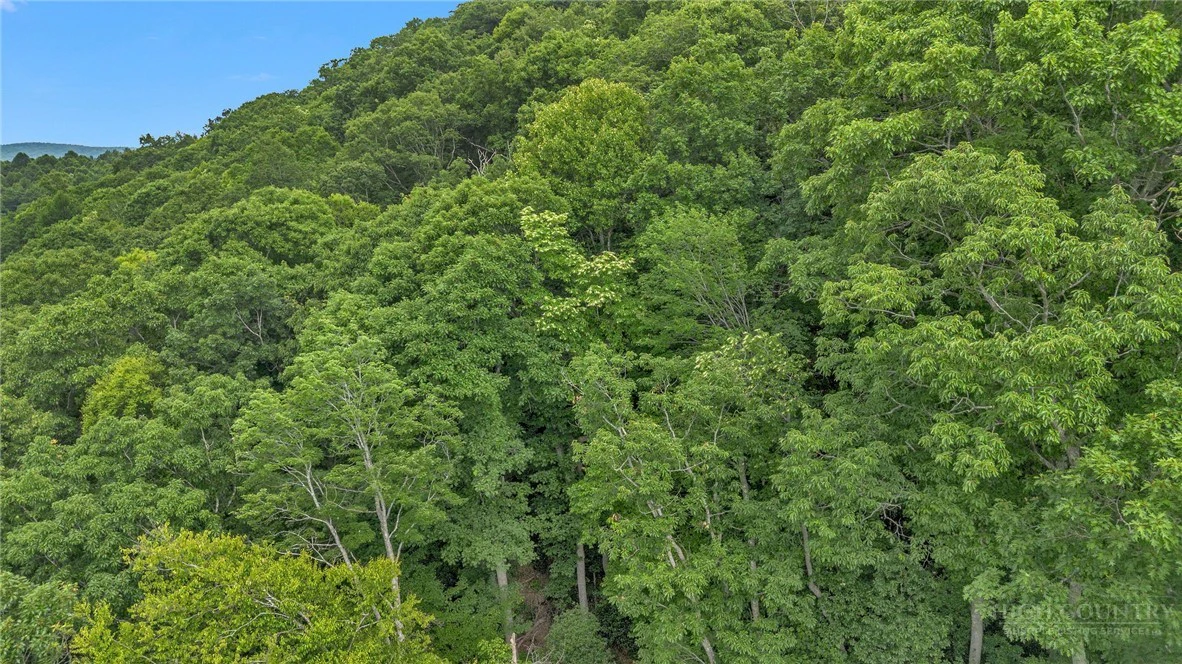Image number 12 for the current listing