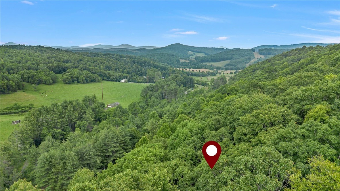Image number 13 for the current listing