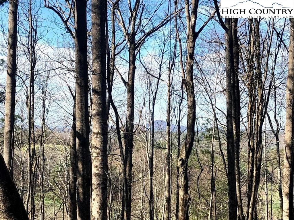 Image number 1 for the current listing