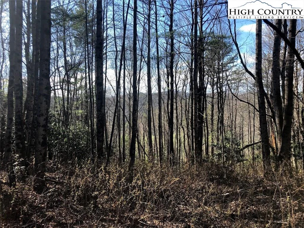 Image number 14 for the current listing