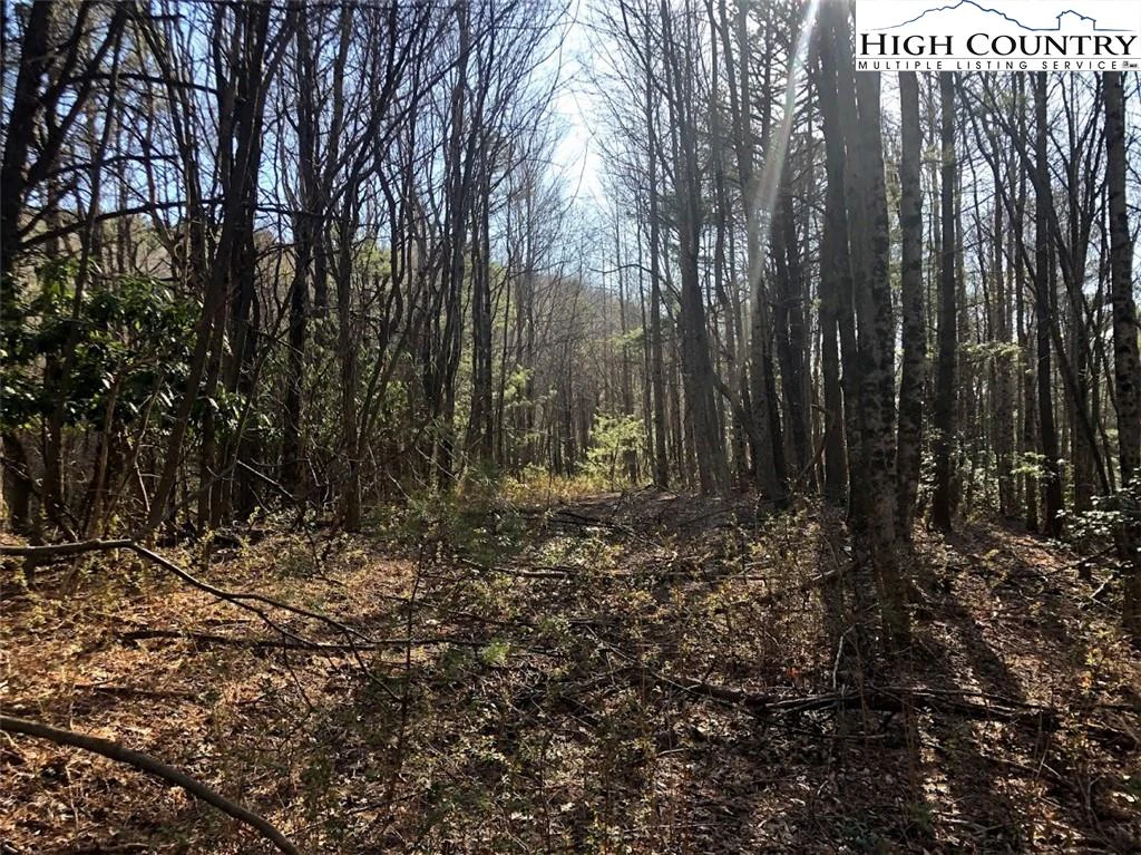 Image number 11 for the current listing
