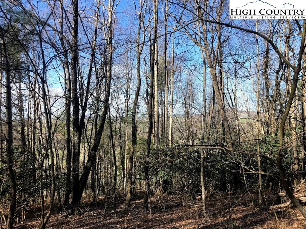 Image number 6 for the current listing