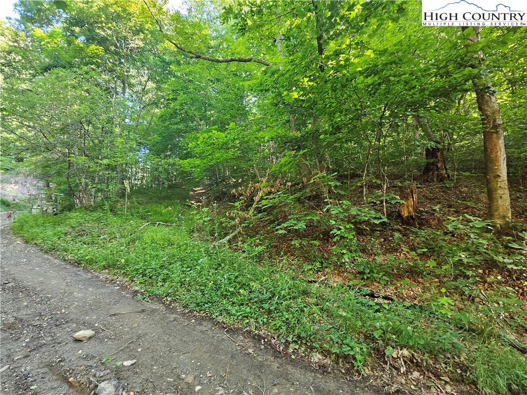 Image number 1 for the current listing