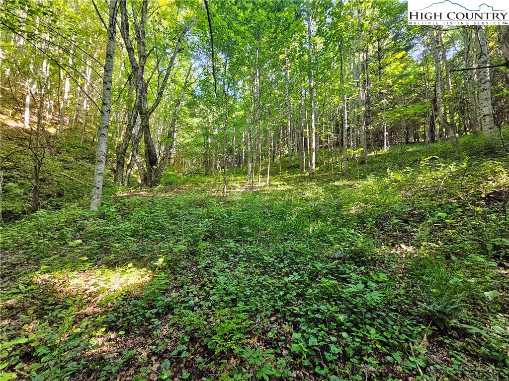 Image number 3 for the current listing