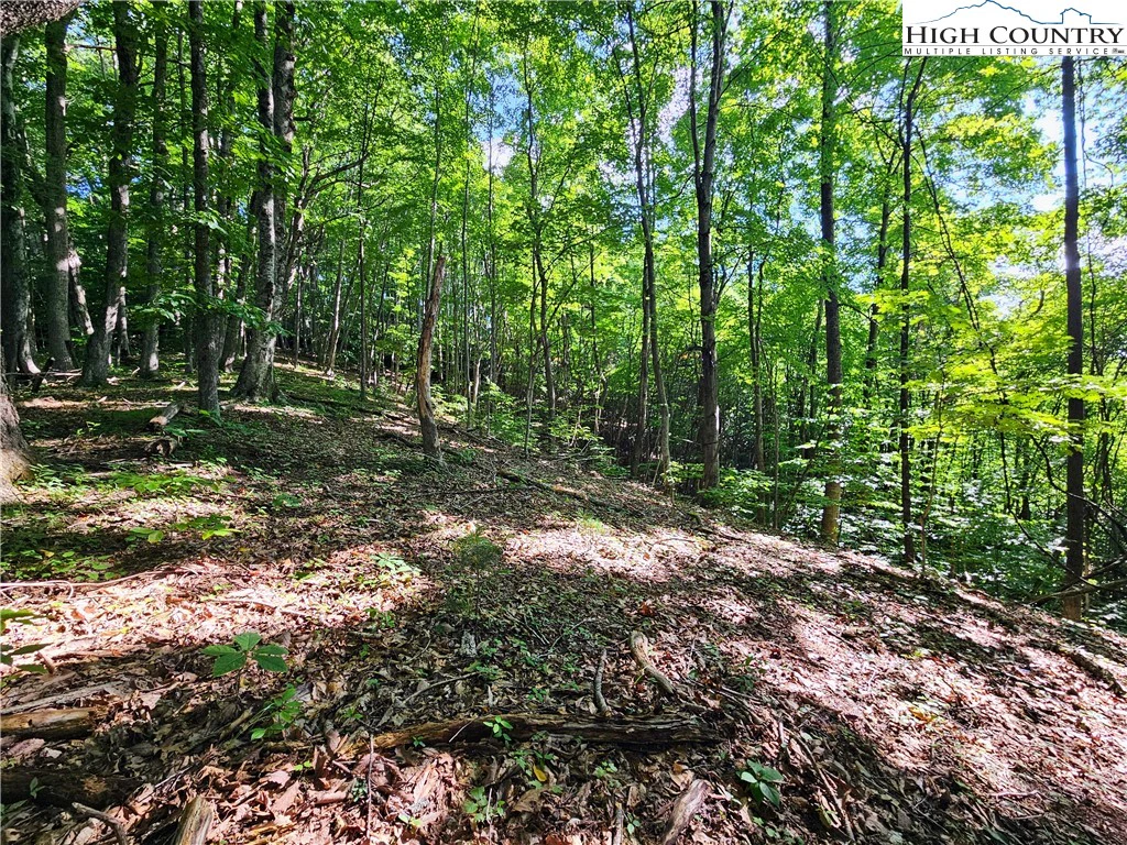 Image number 5 for the current listing