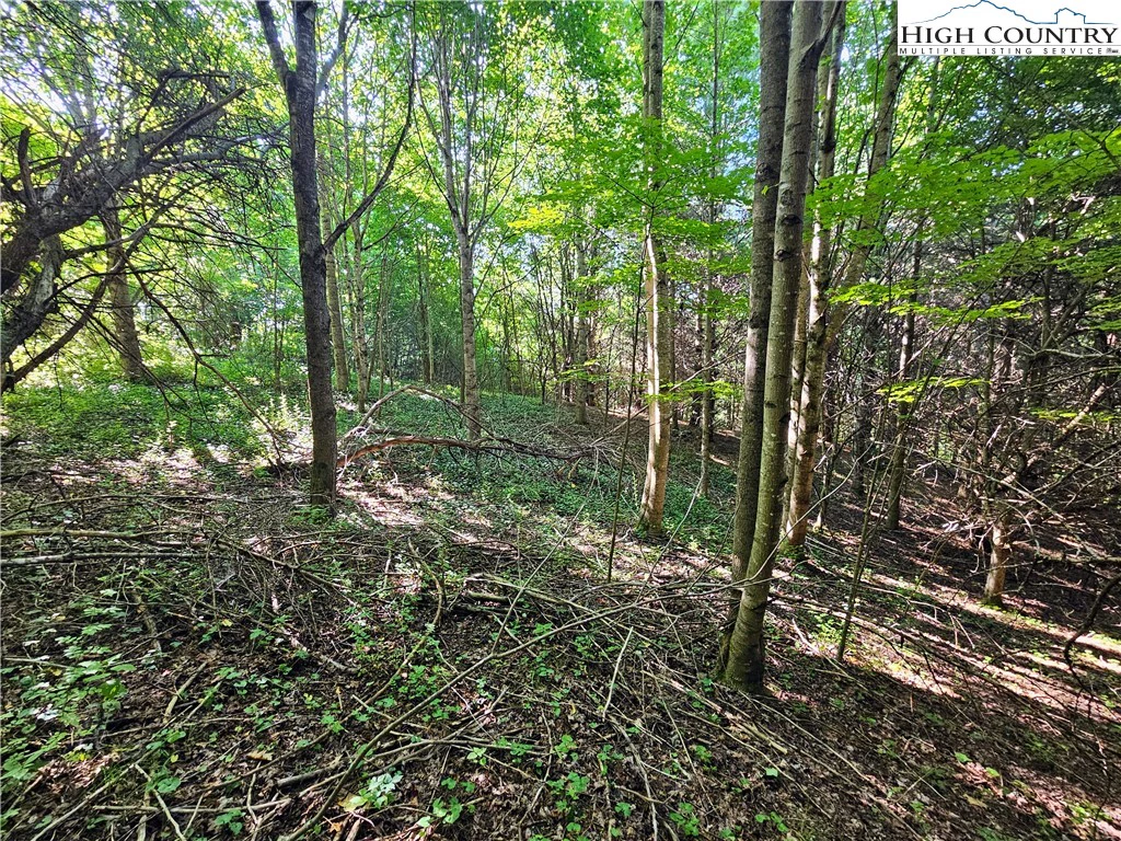 Image number 9 for the current listing