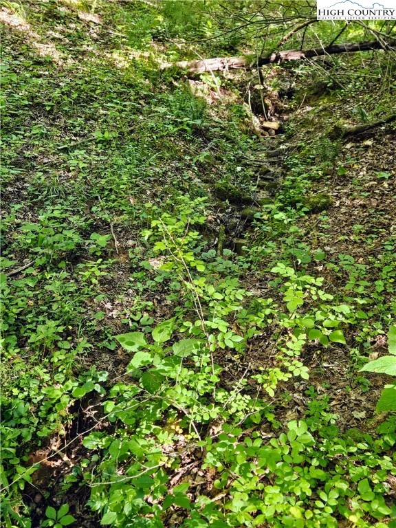 Image number 11 for the current listing