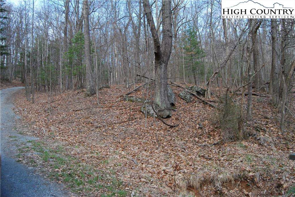 Image number 3 for the current listing