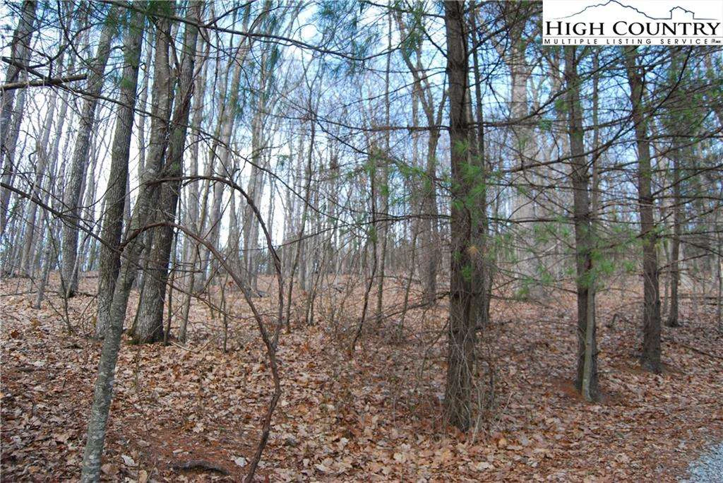 Image number 1 for the current listing