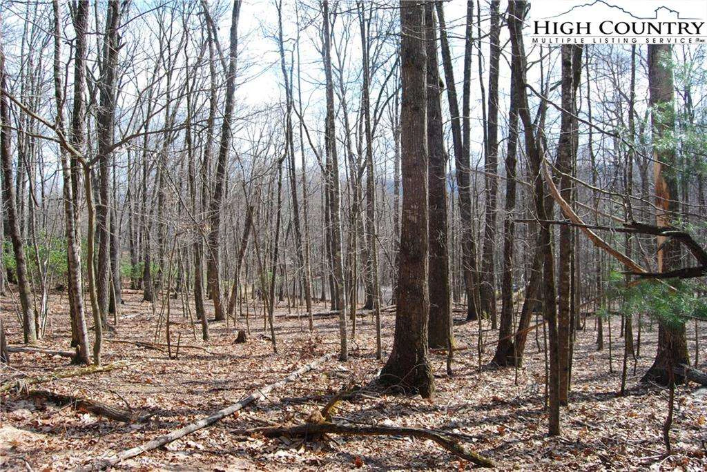 Image number 3 for the current listing