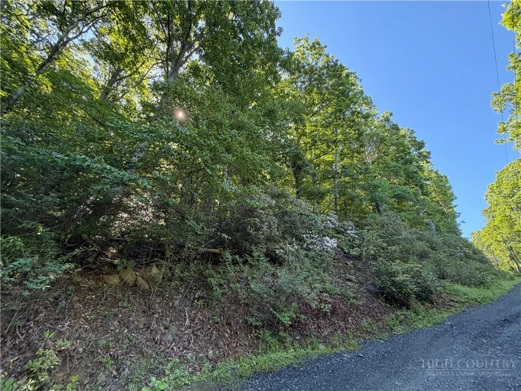 Image number 1 for the current listing