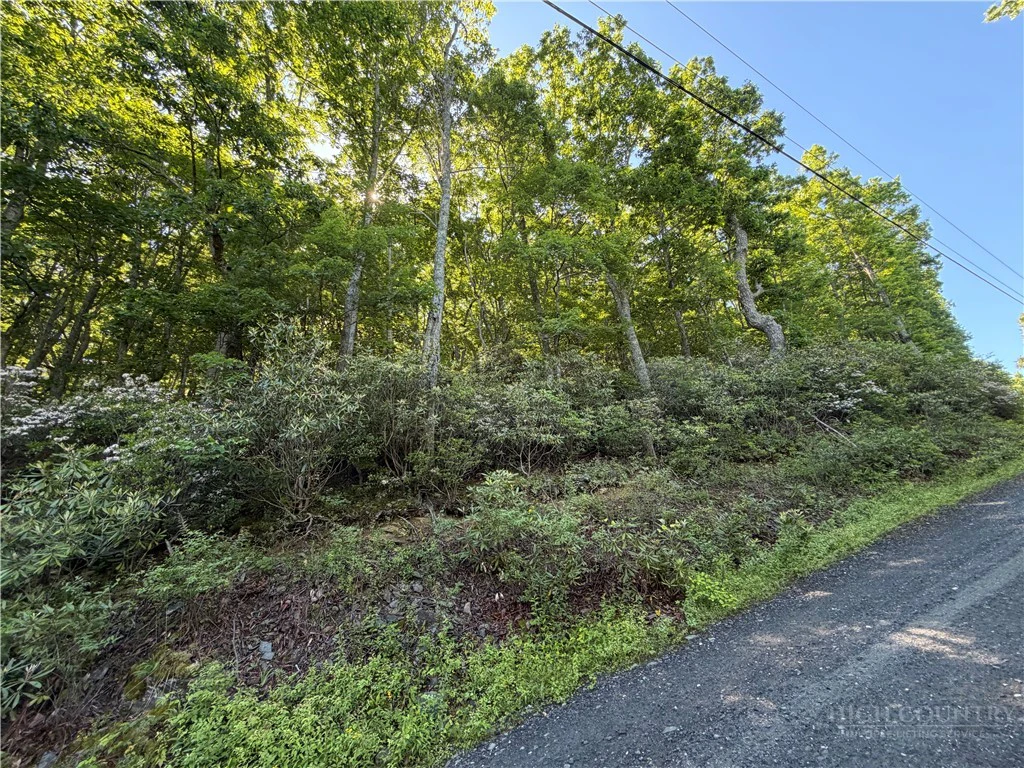 Image number 2 for the current listing