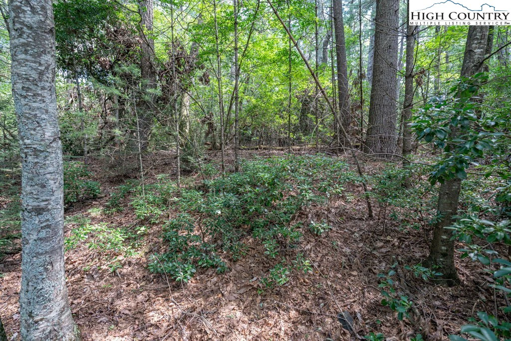 Image number 5 for the current listing