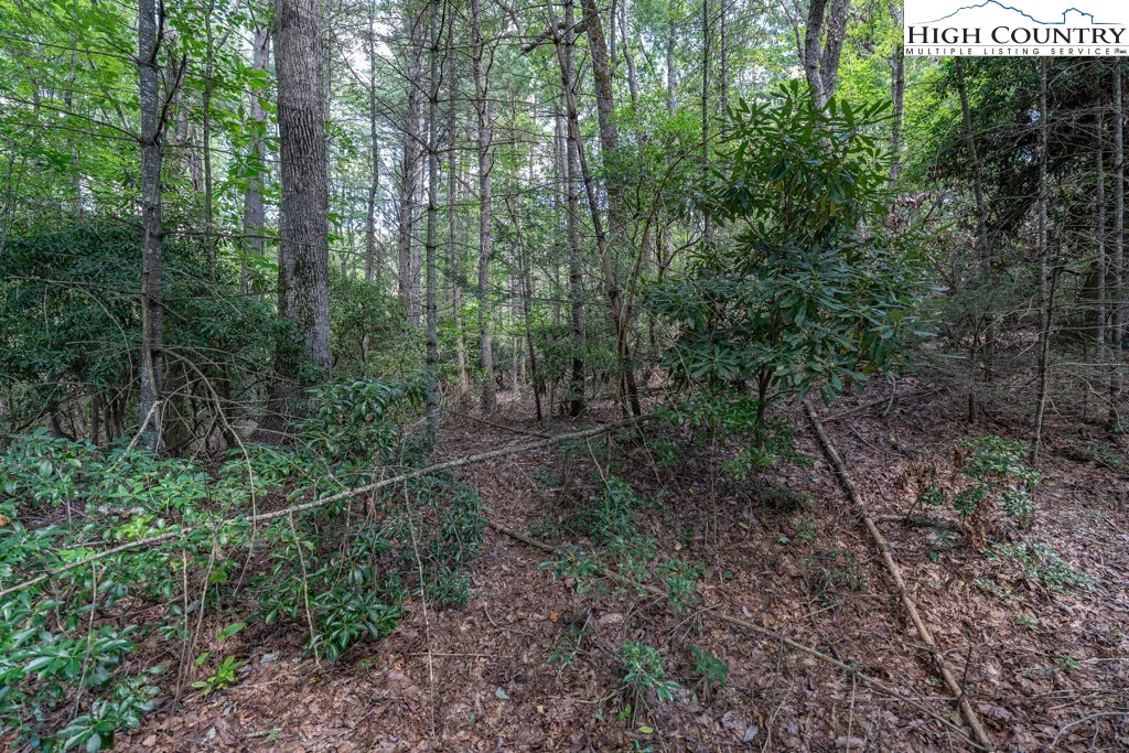 Image number 9 for the current listing